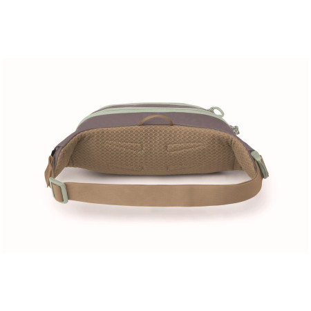 Sac banane Osprey Daylite Waist Pack