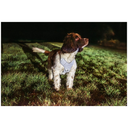 Harnais pour chien Mountain Paws Reflective Dog Harness