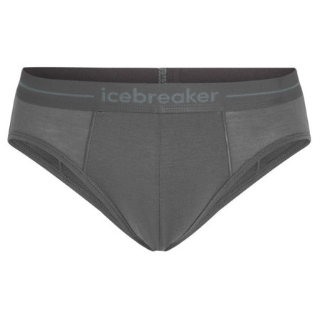 Slip homme Icebreaker Mens Anatomica Briefs