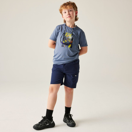 T-shirt enfant Dare 2b Amuse III Tee Mercury
