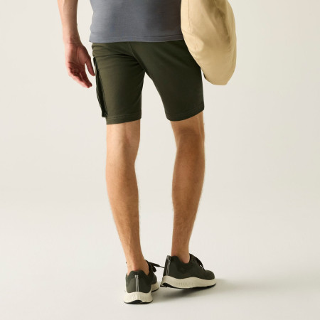 Shorts homme Regatta Bendrick Shorts