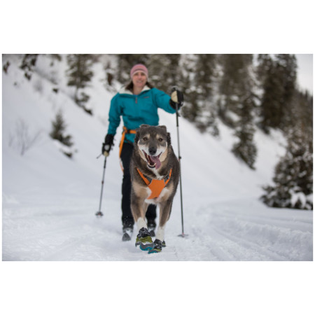 Harnais pour chien Ruffwear Omnijore Joring System