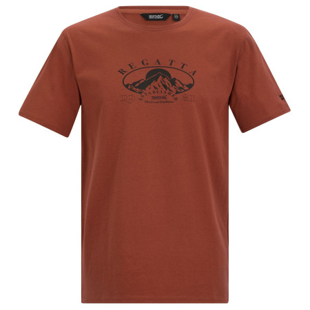 T-shirt homme Regatta Cline IX brun Brick