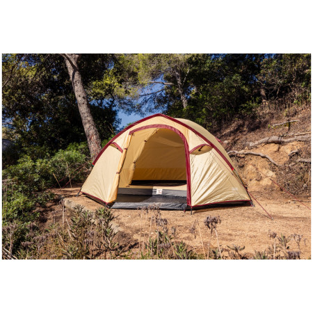 Tente de randonnée Coleman Darwin Summer 4 Plus