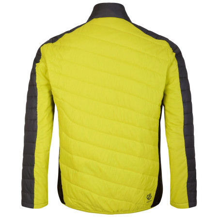 Veste homme Dare 2b Descending Jacket