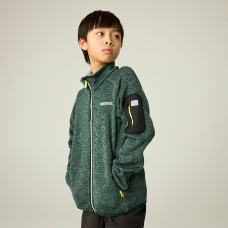 Sweatshirt enfant Regatta Junior Newhill DrkForGlacGr