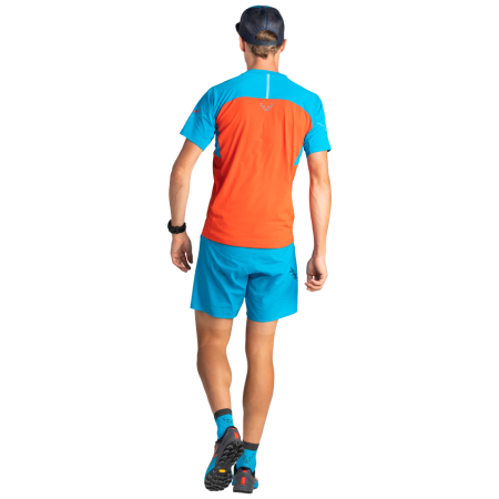 Chaussures de running hommes Dynafit Alpine