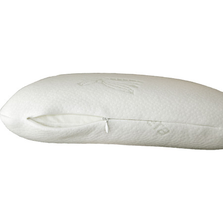 Cussin Brunner Memo Travel