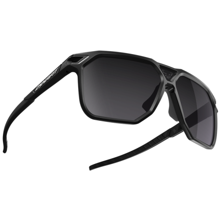 Lunettes soleil Dynafit Traverse Sunglasses