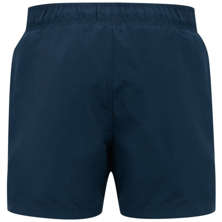 Maillot de bain homme Regatta Mawson Swim Shorts III