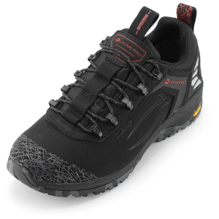 Chaussures Alpine Pro Spidere