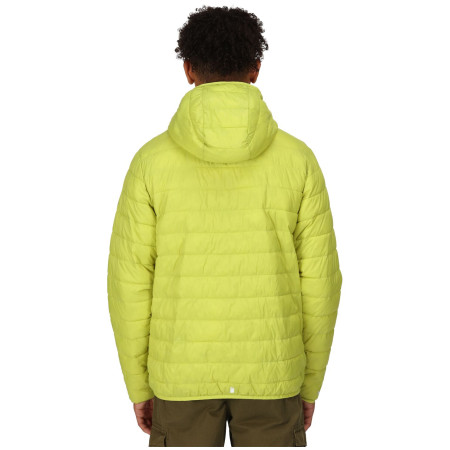 Veste d'hiver homme Regatta Hooded Hillpack