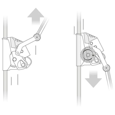 Antichute Petzl Asap Lock