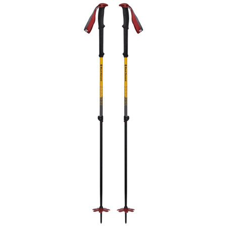 Bâtons ski Black Diamond Expedition JC