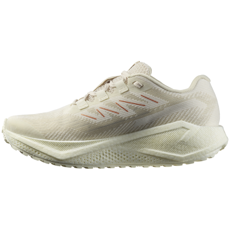 Chaussures running femme Salomon Aero Blaze 3 Grvl