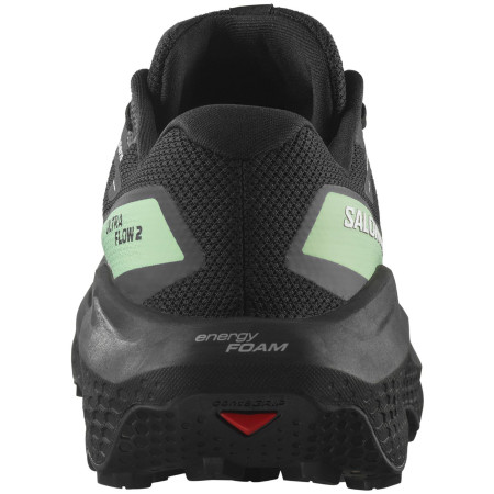 Chaussures homme Salomon Ultra Flow 2 Gore-Tex