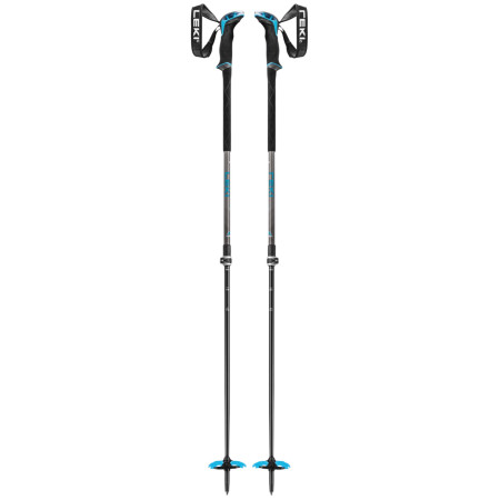 Bâtons de ski alpin Leki Guide Lite 2 vert / bleu silvergray-petrol-black
