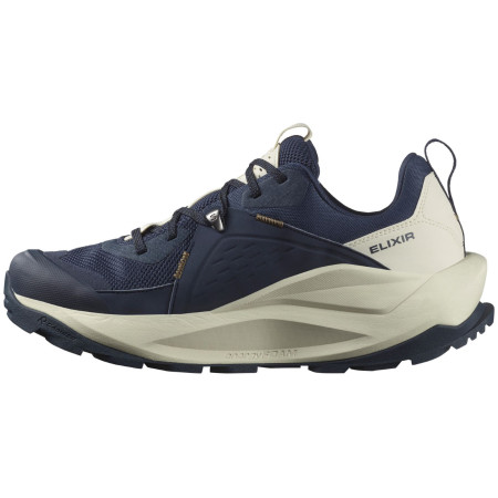 Chaussures homme Salomon Elixir Gore-Tex