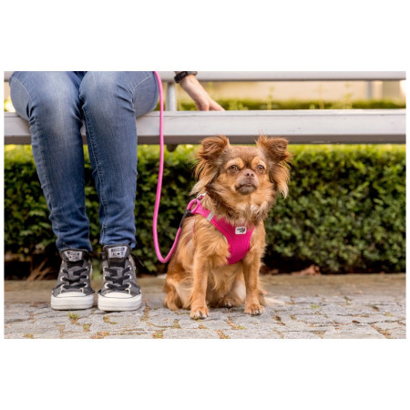Laisse pour chien Curli Stretch Comfort Leash