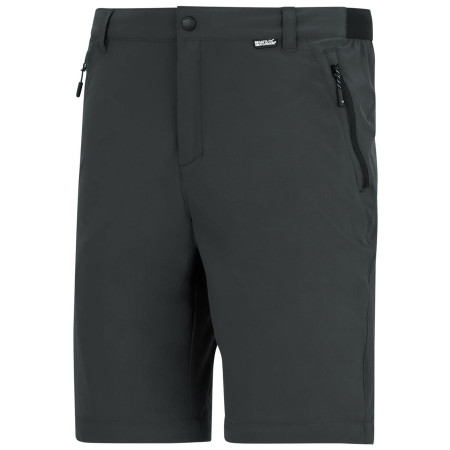 Pantalon homme Regatta Anti-Insect Travel Light Z/O Trousers