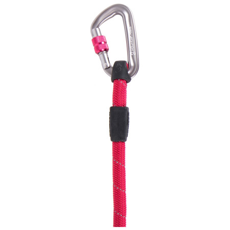 Laisse pour chien Mountain Paws Rope Dog Lead