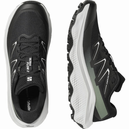 Chaussures homme Salomon Ultra Flow 2