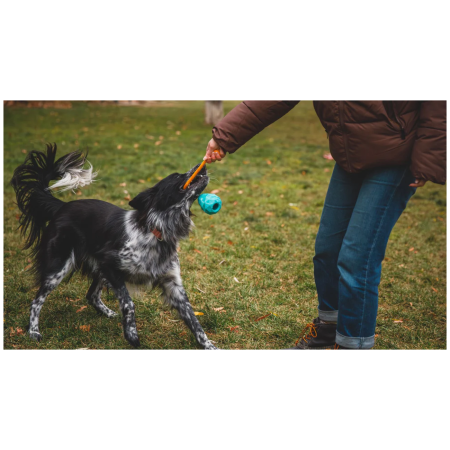 Jouet pour chien Ruffwear Huck-a-Cone™ Toy