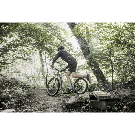 Trottinette Yedoo Trexx Disc