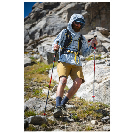 Bâtons randonnée Black Diamond Pursuit Carbon FLZ