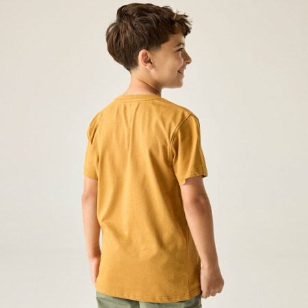 T-shirt enfant Regatta Bosley Wood Brown