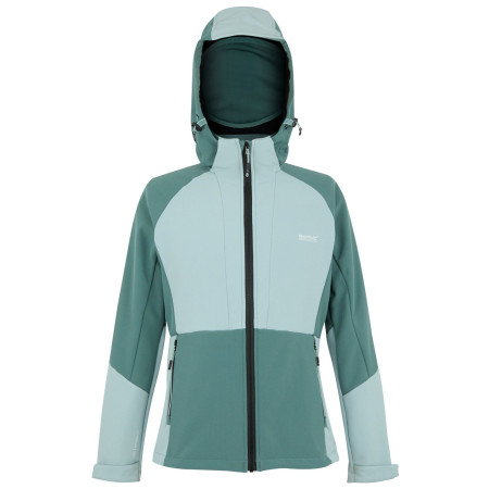 Veste femme Regatta Desoto vert SprGrn/GrnHz