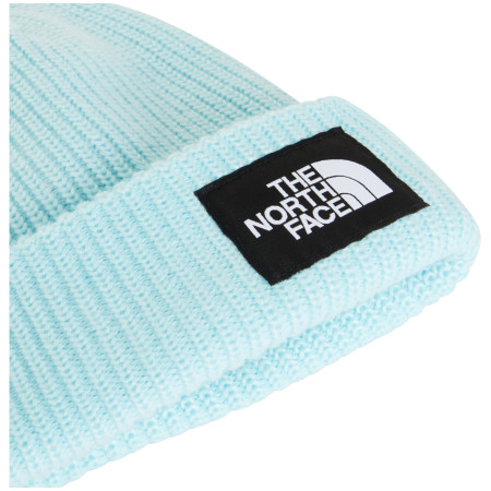 Bonnet The North Face Salty Lined Beanie