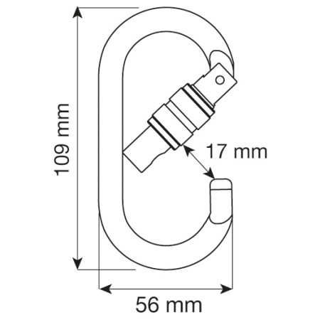 Mousqueton Camp Oval Pro Lock