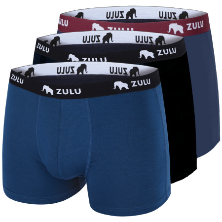 Caleçon homme Zulu Bambus 210 4in 3-pack