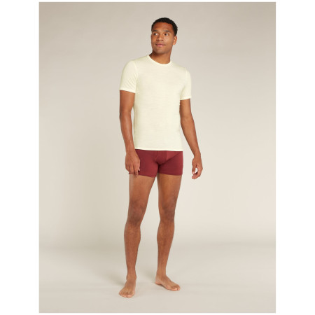 T-shirt homme Icebreaker M Anatomica SS Crewe