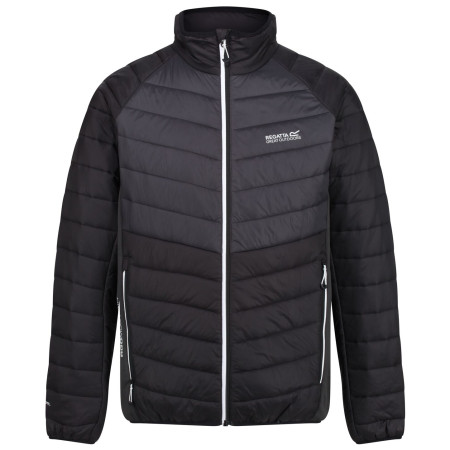Veste homme Regatta Halton IV vert black/ash