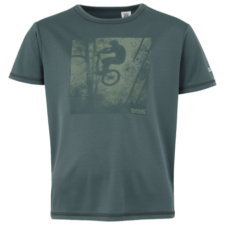 T-shirt enfant Regatta Alvarado IX