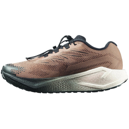 Chaussures homme Salomon Aero Blaze 4 Grvl