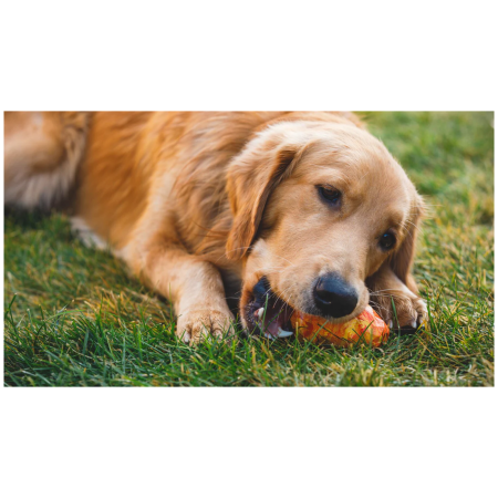 Jouet pour chien Ruffwear Gnawt-a-Cone™ Toy