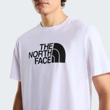 T-shirt homme The North Face Evolution Half Dome Regular Short Slee