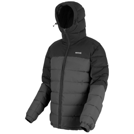 Veste homme Regatta Aldthorn