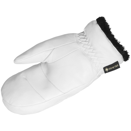 Moufles Salomon Native Gore-Tex Mitten