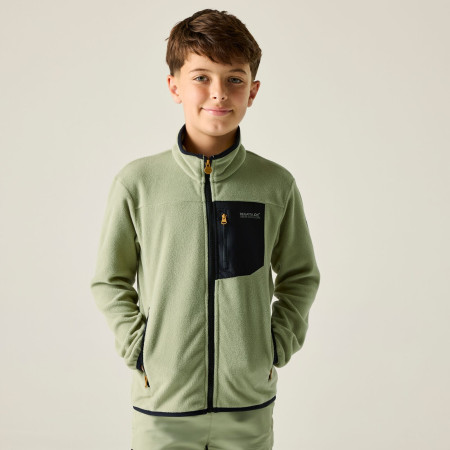 Sweatshirt enfant Regatta Junior Frankie F/Z Light Sage