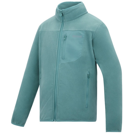 Sweatshirt enfant Regatta Junior Frankie F/Z Ivy Moss