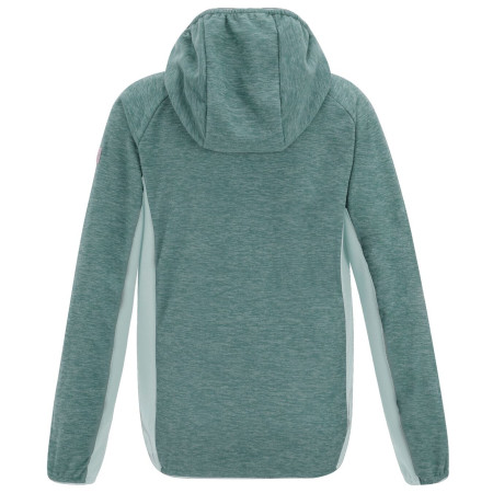 Sweatshirt enfant Regatta Skylar IvyMossOMist