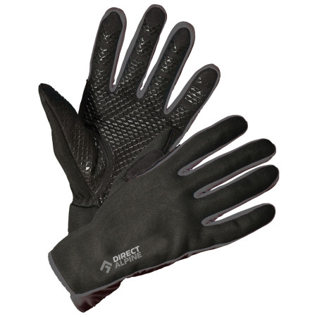 Gants Direct Alpine Skisport 1.0