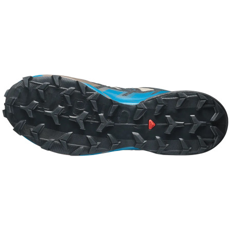 Chaussures de running hommes Salomon Speedcross 6