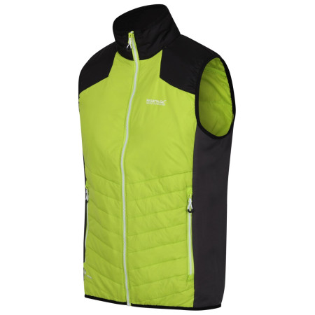Gilet homme Regatta Halton BW VI