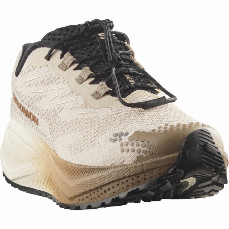 Chaussures running femme Salomon Aero Blaze 4 Grvl W
