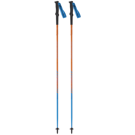 Bâtons de marche nordique Dynafit Vertical Pole